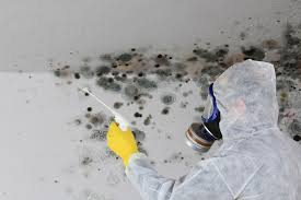 Best Air Quality Testing for Mold Spores  in USA